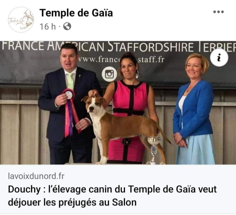 du temple de Gaïa - Temple de gaia dans la voix du nord ! 